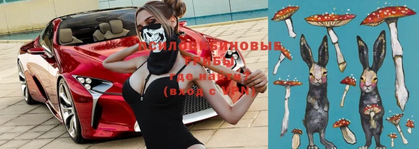 твердый Алексеевка