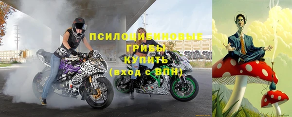 крисы Алзамай