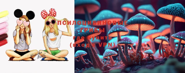 амф Сатка