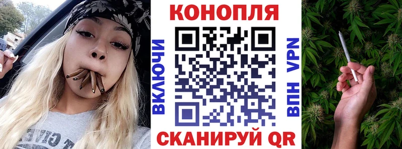 Бошки Шишки VHQ  Камешково 